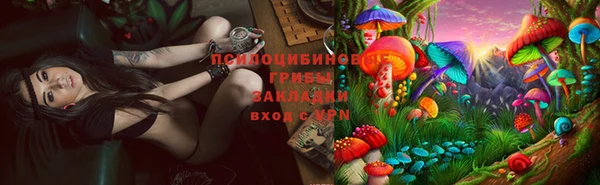 альфа пвп Богданович