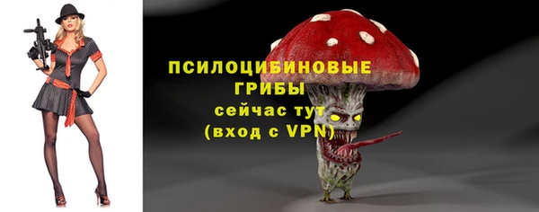 прущий лед Богородск