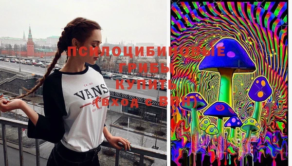 прущий лед Богородск