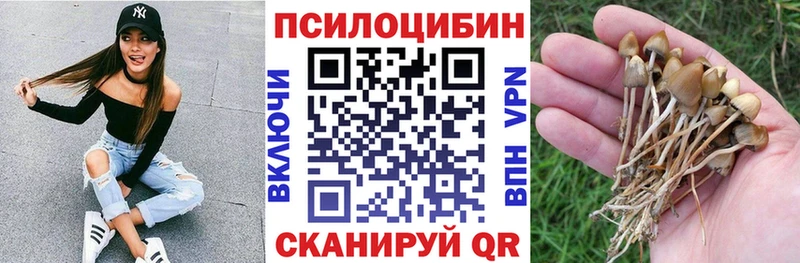 Галлюциногенные грибы Psilocybine cubensis  Купить закладки  Духовщина 